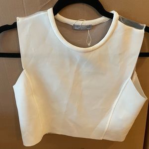 Zara cropped top